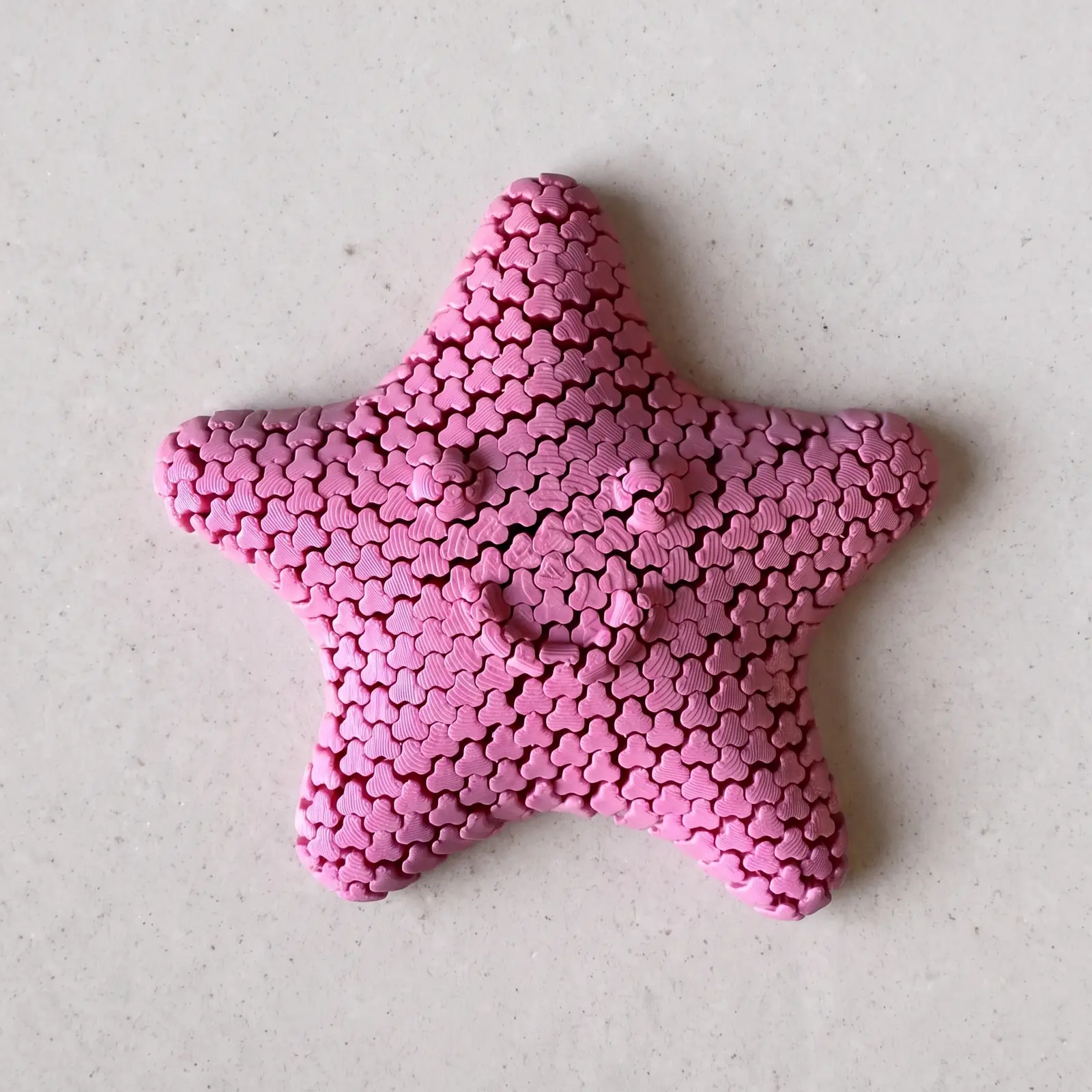 Estrella de mar articulada rosa vista desde arriba, con escamas en toda la superficie